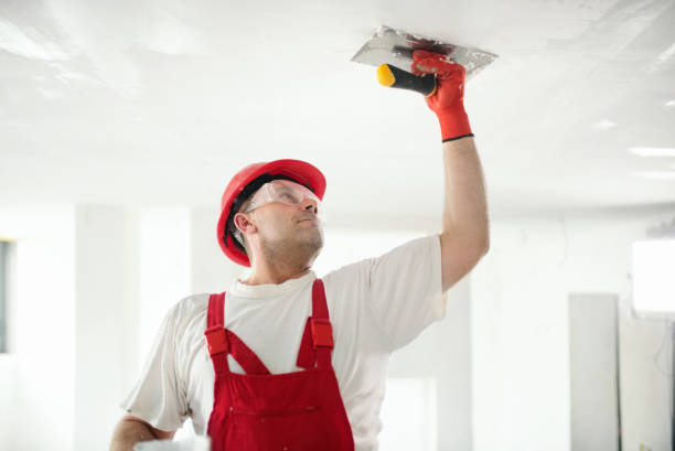 Best Touch-Up Painting  in Arlington Heights, PA